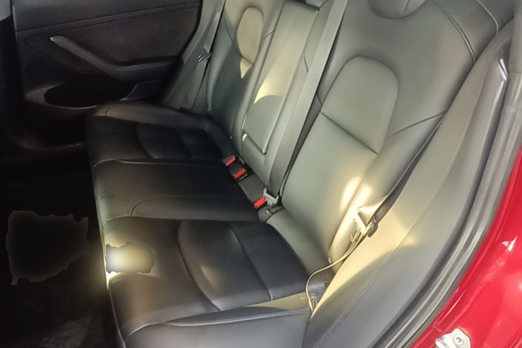 Tesla Model 3 2021 immagine di auto #17