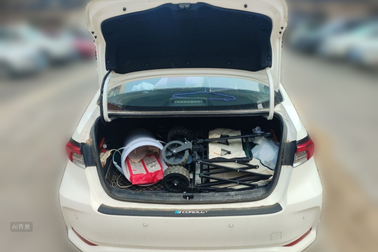 Toyota Corolla 2021 car image #21