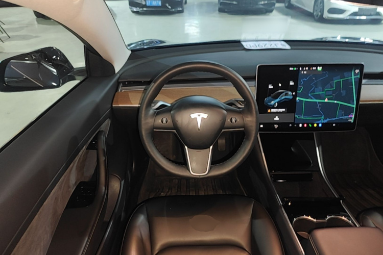 Tesla Model 3 2020 immagine di auto #15