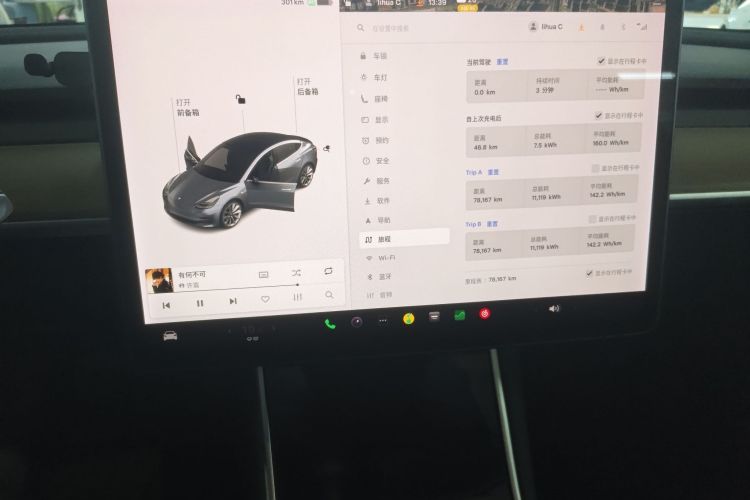Tesla Model 3 2020 car image #12
