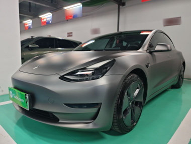 Tesla Model 3 2021 Tesla Model 3 2021 car image