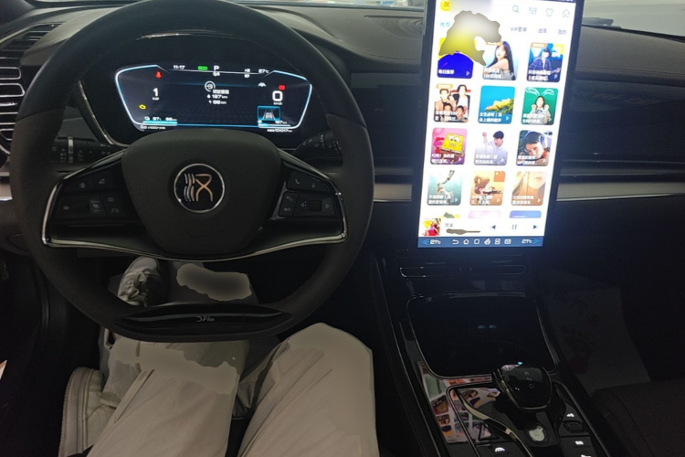 BYD Han 2021 immagine di auto #10