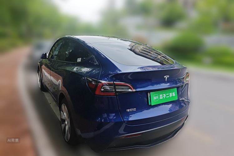 Tesla Model Y 2021 car image #5