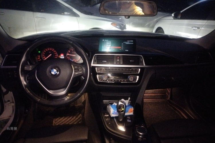 BMW 3 Series 2019 car image #11