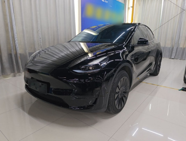 Tesla Model Y 2023 car image 