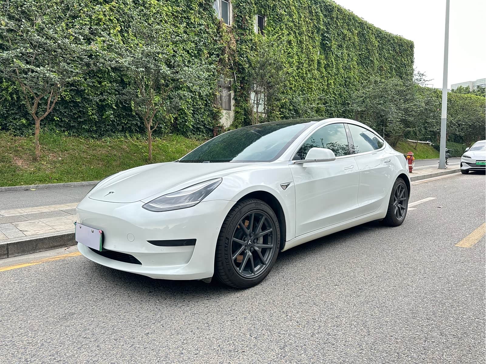 Tesla Model 3 2020 Tesla Model 3 2020 car image