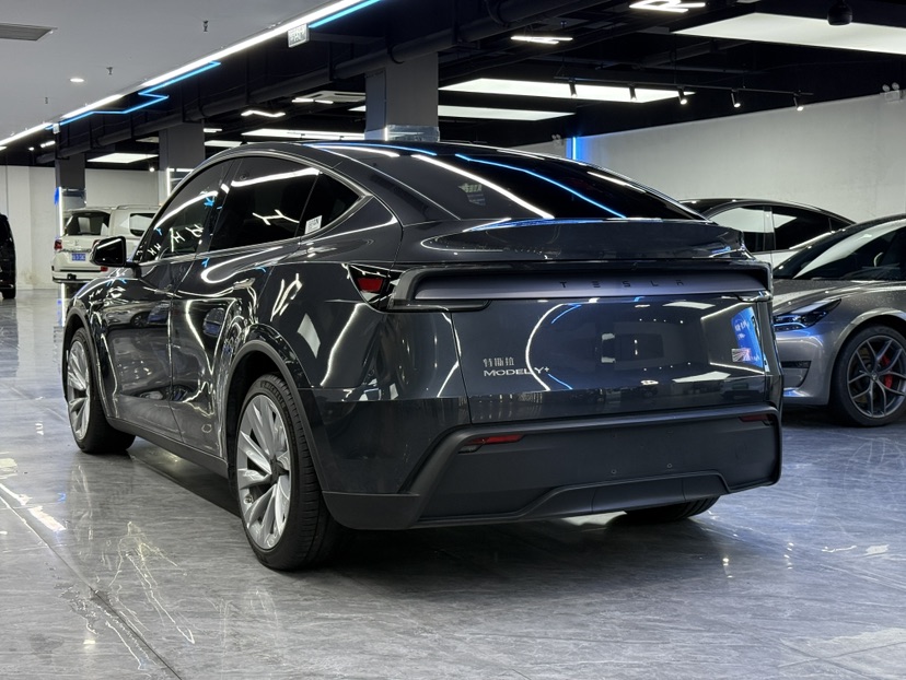 Tesla Model Y 2025 car image #8