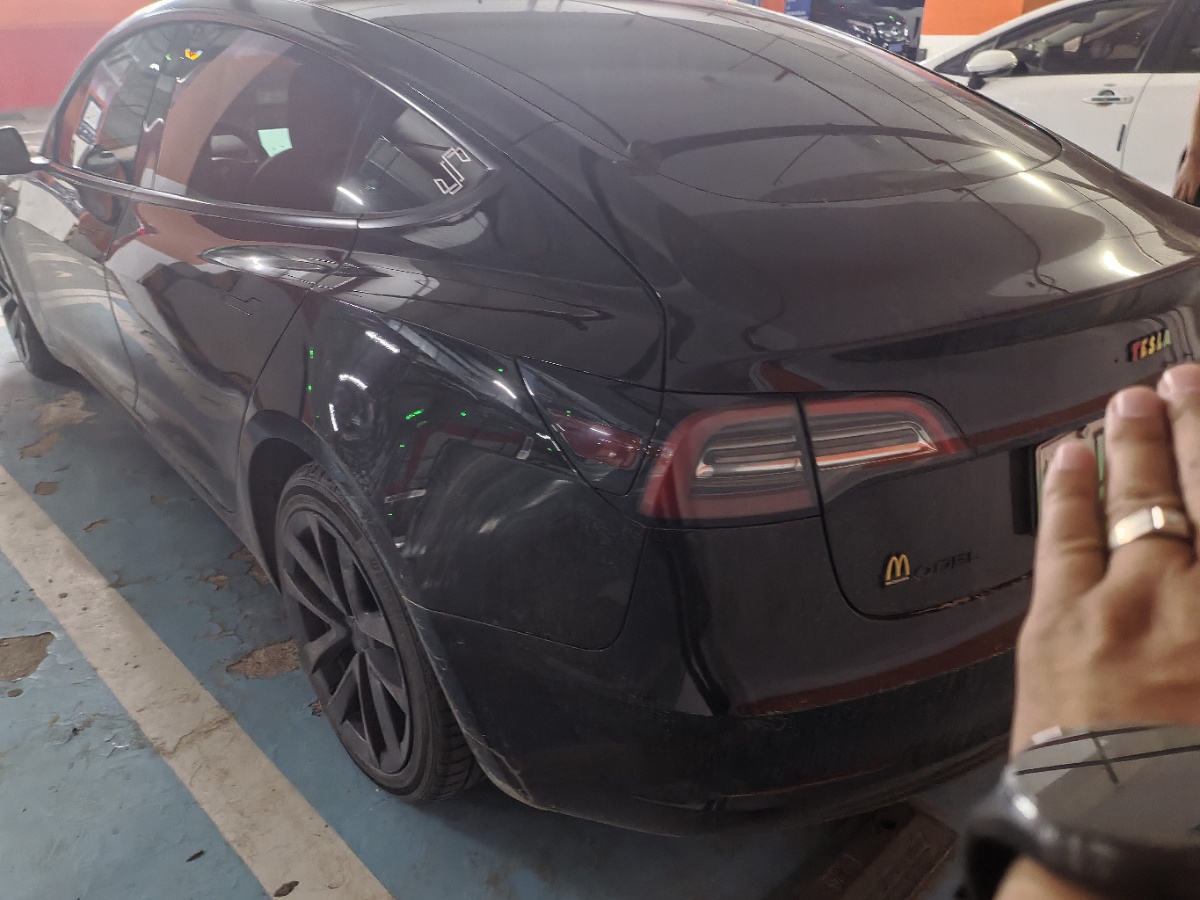 Tesla Model 3 2021 immagine di auto #6