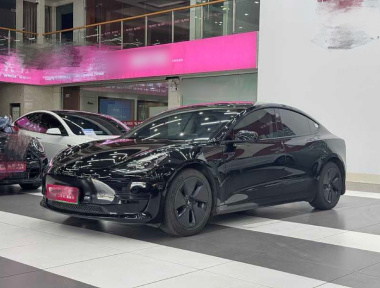 Tesla Model 3 2023 Tesla Model 3 2023 car image