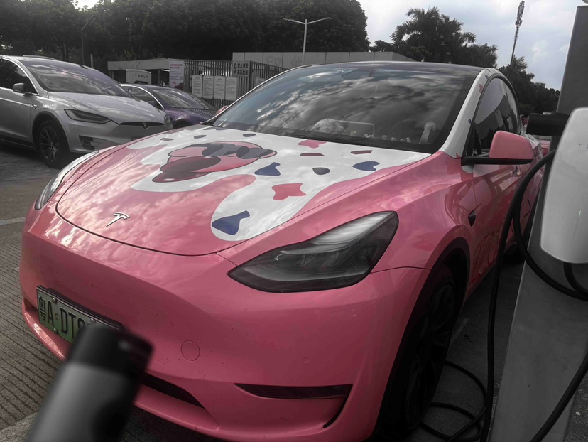 Tesla Model Y 2021 car image 