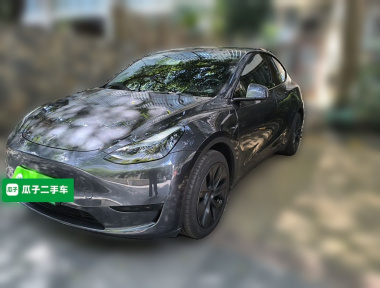 Tesla Model Y 2024 car image 