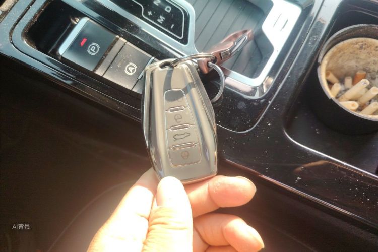 GEELY Emgrand GL 2020 car image #10