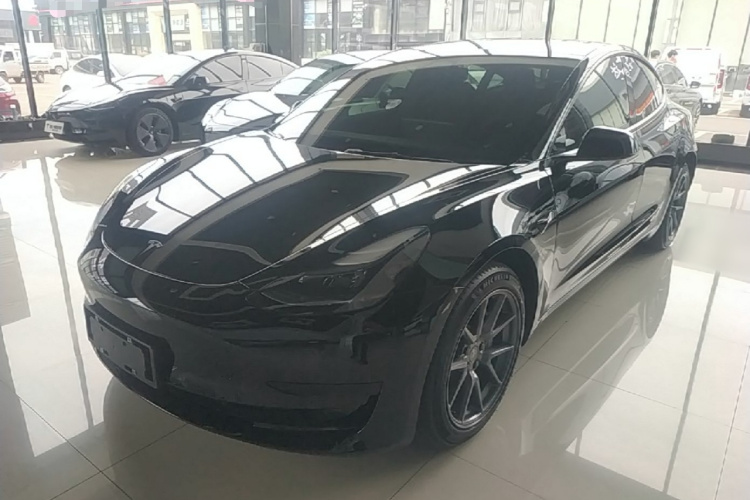 Tesla Model 3 2023 #2 Tesla Model 3 2023 car image #2
