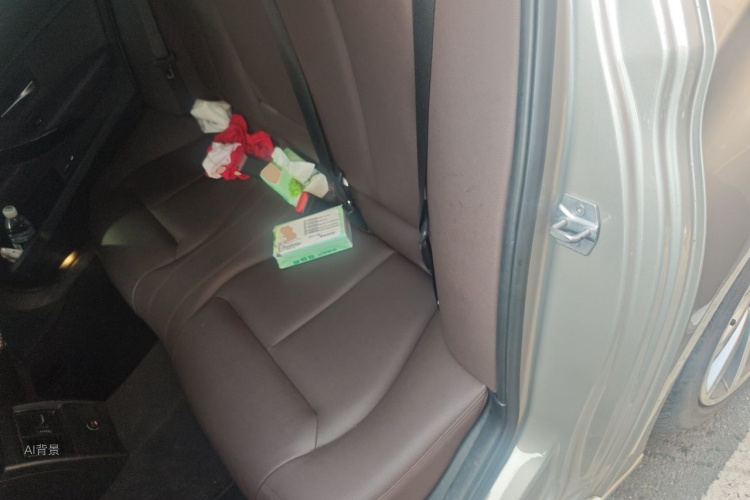 BMW 3 Series 2019 car image #19