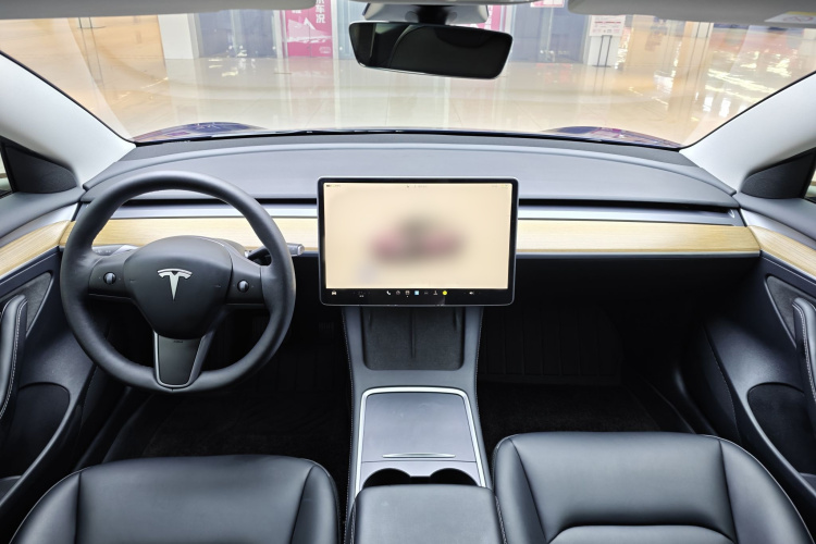 Tesla Model 3 2023 car image #16
