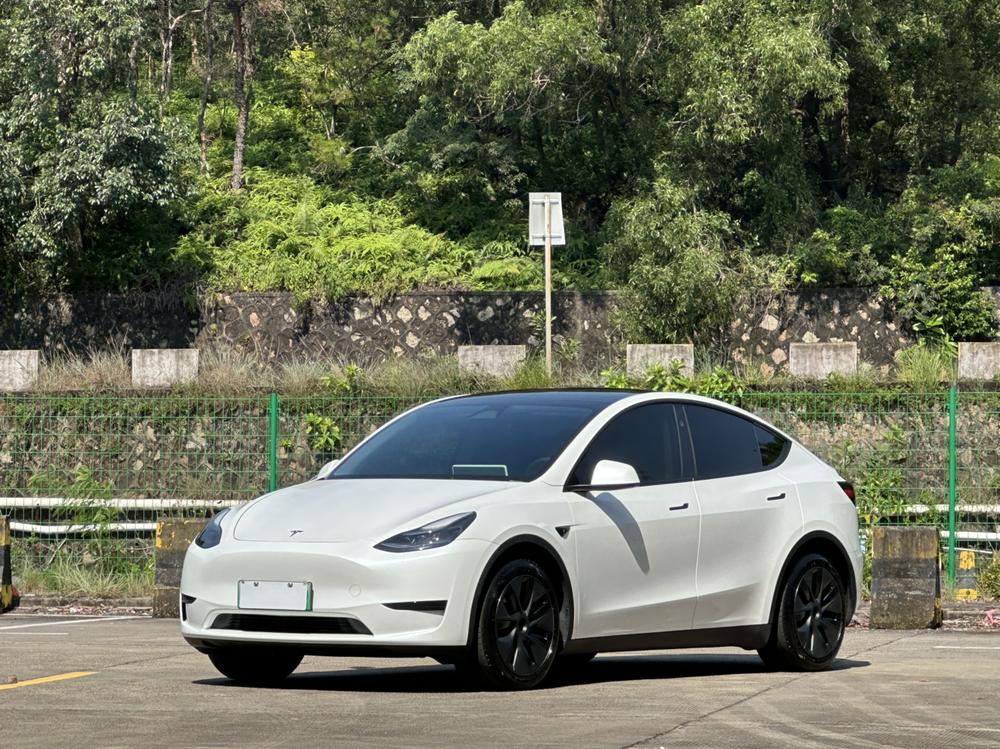 Tesla Model Y 2024 Tesla Model Y 2024 car image