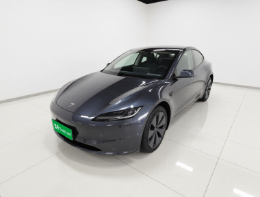 Tesla Model 3 2024 Tesla Model 3 2024 car image