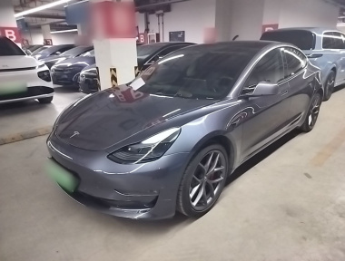 Tesla Model 3 2021 Tesla Model 3 2021 car image
