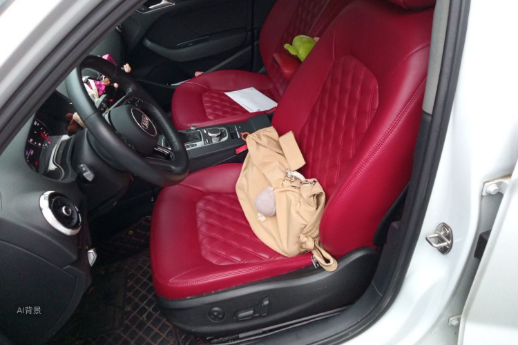 Audi A3 2019 car image #17