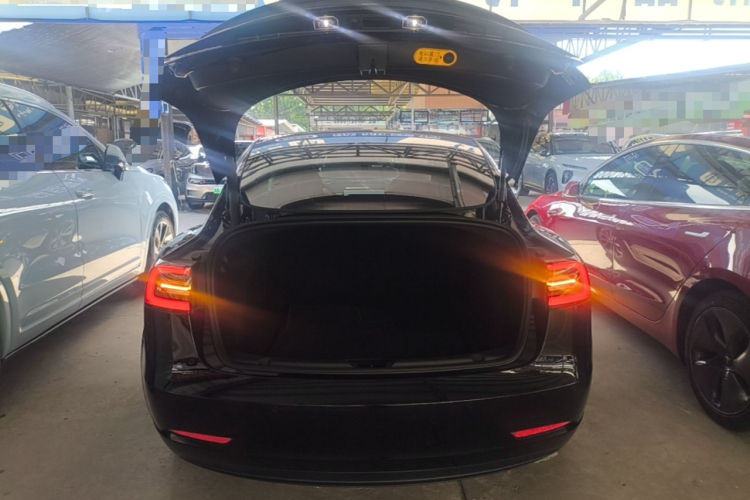 Tesla Model 3 2021 #19 Tesla Model 3 2021 car image #19