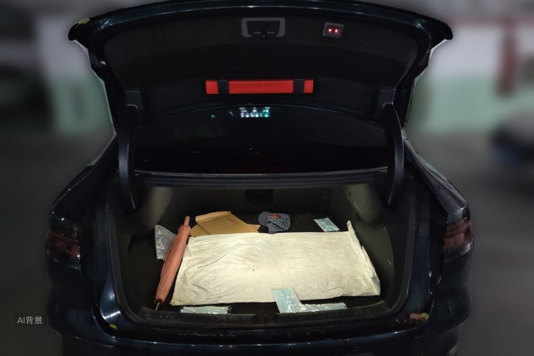 BYD Han 2022 car image #21