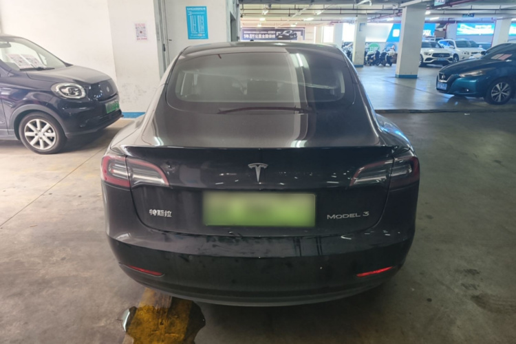 Tesla Model 3 2021 #6 Tesla Model 3 2021 car image #6