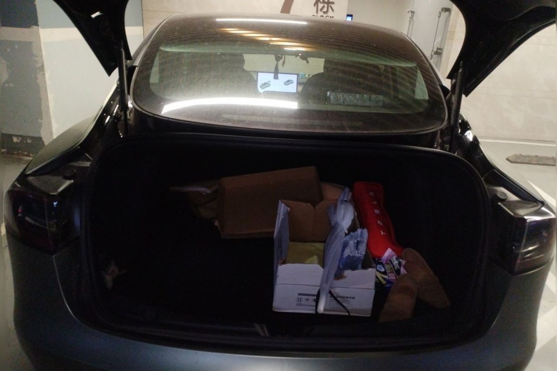 Tesla Model 3 2020 car image #8
