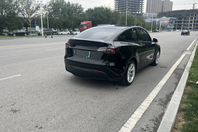 Tesla Model Y 2023 #9 Tesla Model Y 2023 car image #9