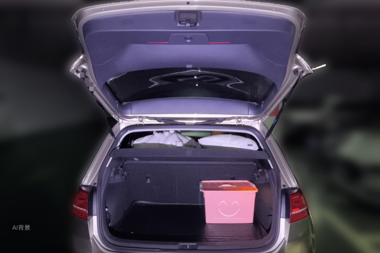 Volkswagen Golf 2015 car image #21