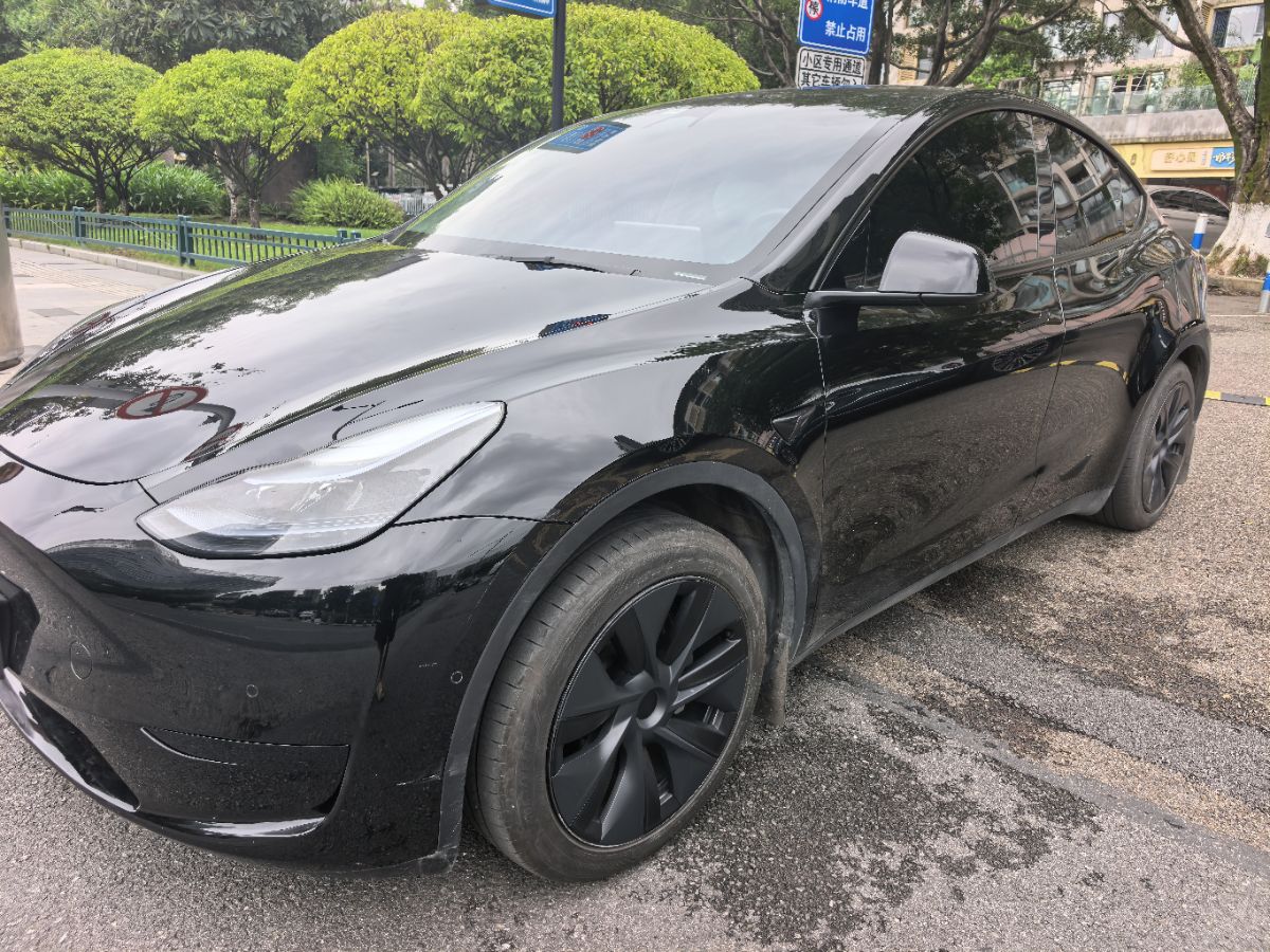 Tesla Model Y 2024 car image 