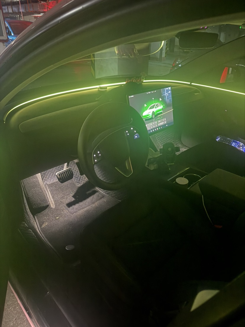 Tesla Model 3 2025 car image #6