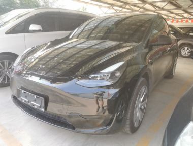 Tesla Model Y 2023 Tesla Model Y 2023 car image