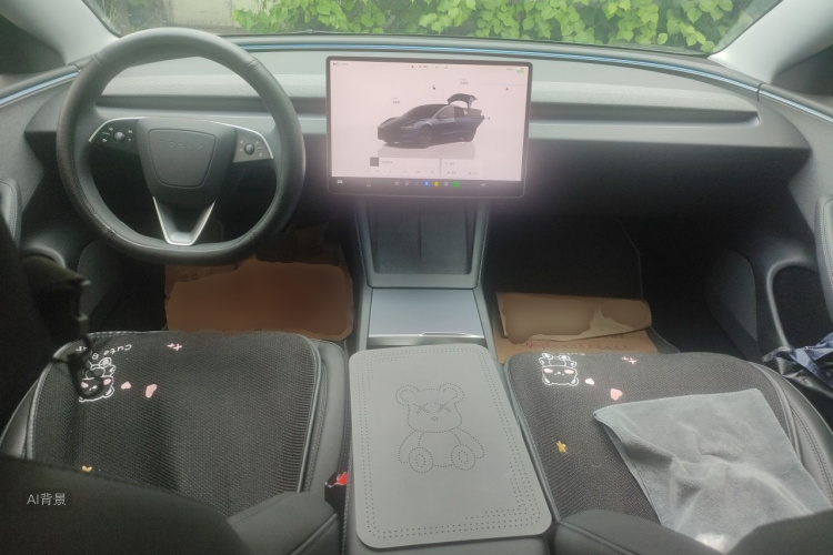Tesla Model 3 2025 car image #11