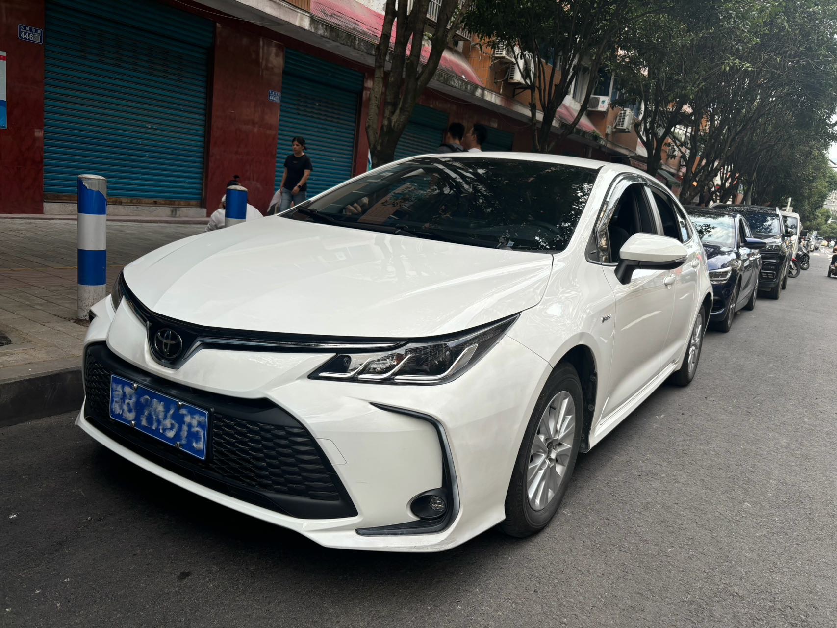 Toyota Corolla 2024 Toyota Corolla 2024 car image