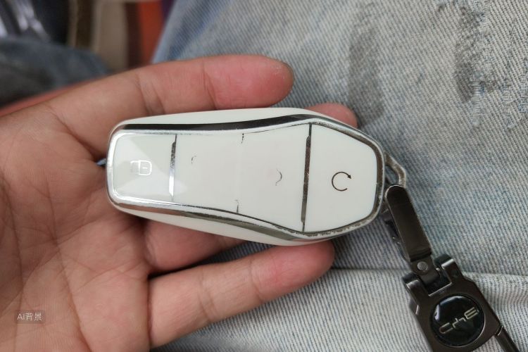 BYD Yuan Plus 2024 car image #10