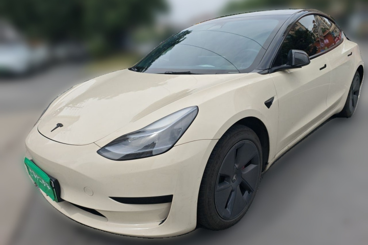Tesla Model 3 2023 immagine di auto #2