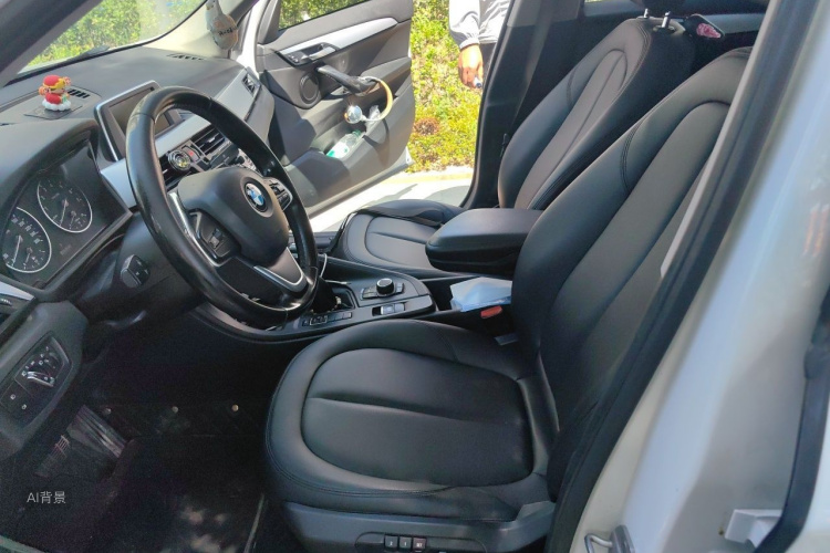 BMW X1 2017 #17 BMW X1 2017 immagine di auto #17