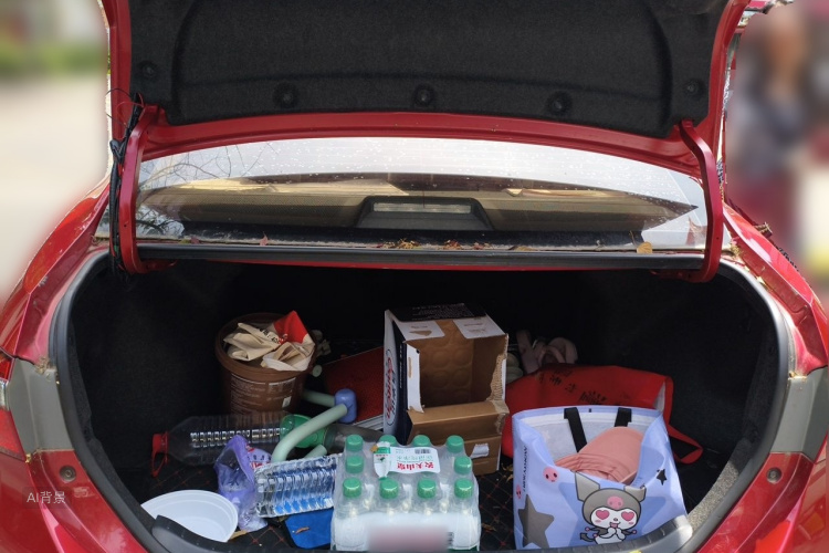 Toyota Corolla 2019 car image #21