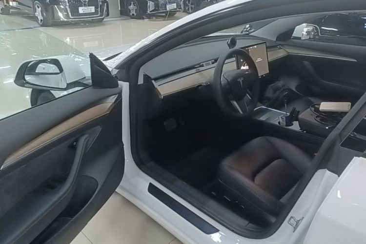 Tesla Model 3 2021 #16 Tesla Model 3 2021 car image #16