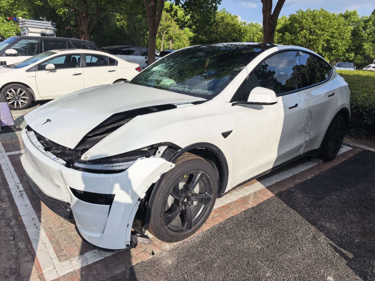 Tesla Model Y 2026 #11 Tesla Model Y 2026 car image #11