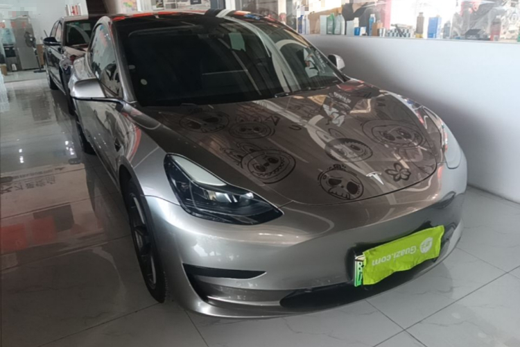 Tesla Model 3 2021 #4 Tesla Model 3 2021 imagen de coche #4
