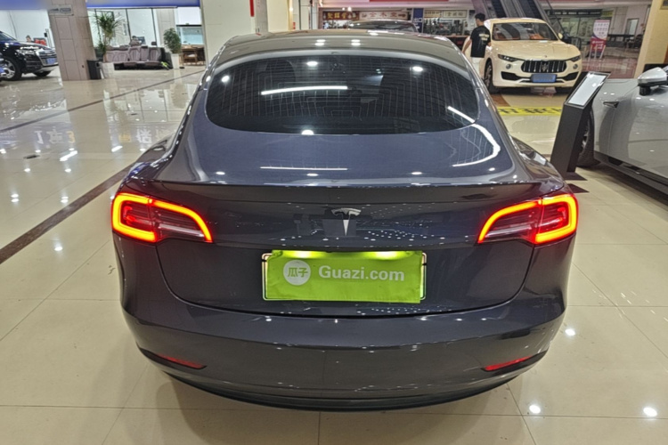 Tesla Model 3 2020 car image #6