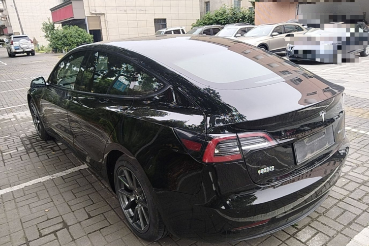 Tesla Model 3 2021 #5 Tesla Model 3 2021 car image #5