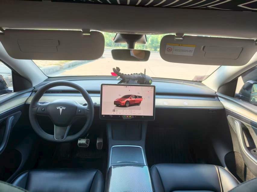 Tesla Model Y 2023 car image #7