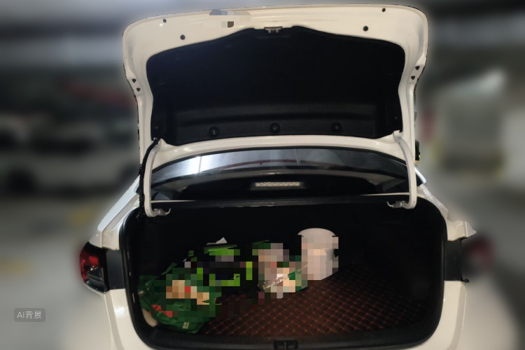 Toyota Corolla 2020 car image #21
