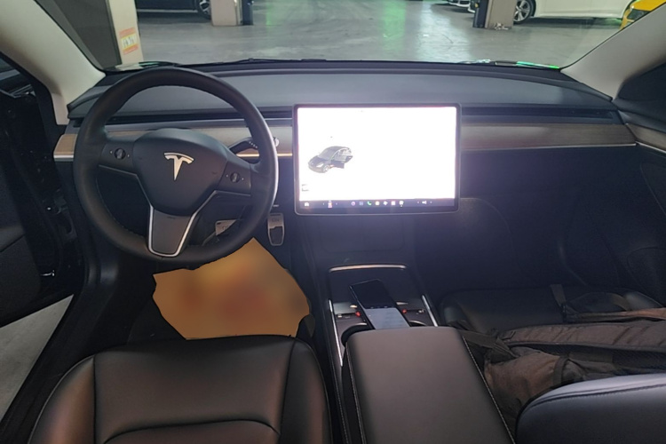 Tesla Model 3 2021 car image #10