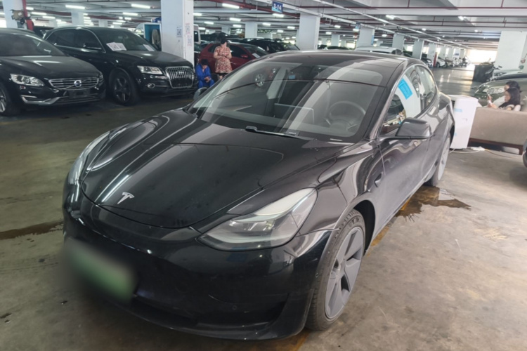 Tesla Model 3 2021 #2 Tesla Model 3 2021 car image #2