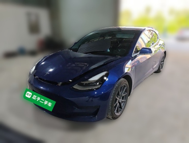 Tesla Model 3 2020 car image 