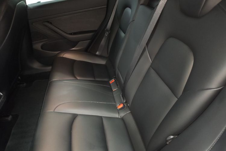 Tesla Model 3 2020 car image #17
