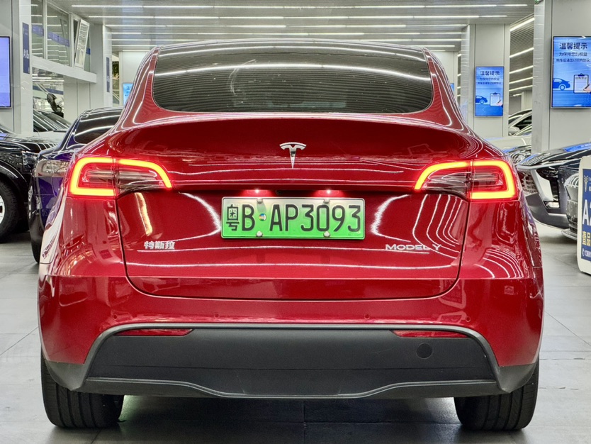 Tesla Model Y 2021 #8 Tesla Model Y 2021 car image #8